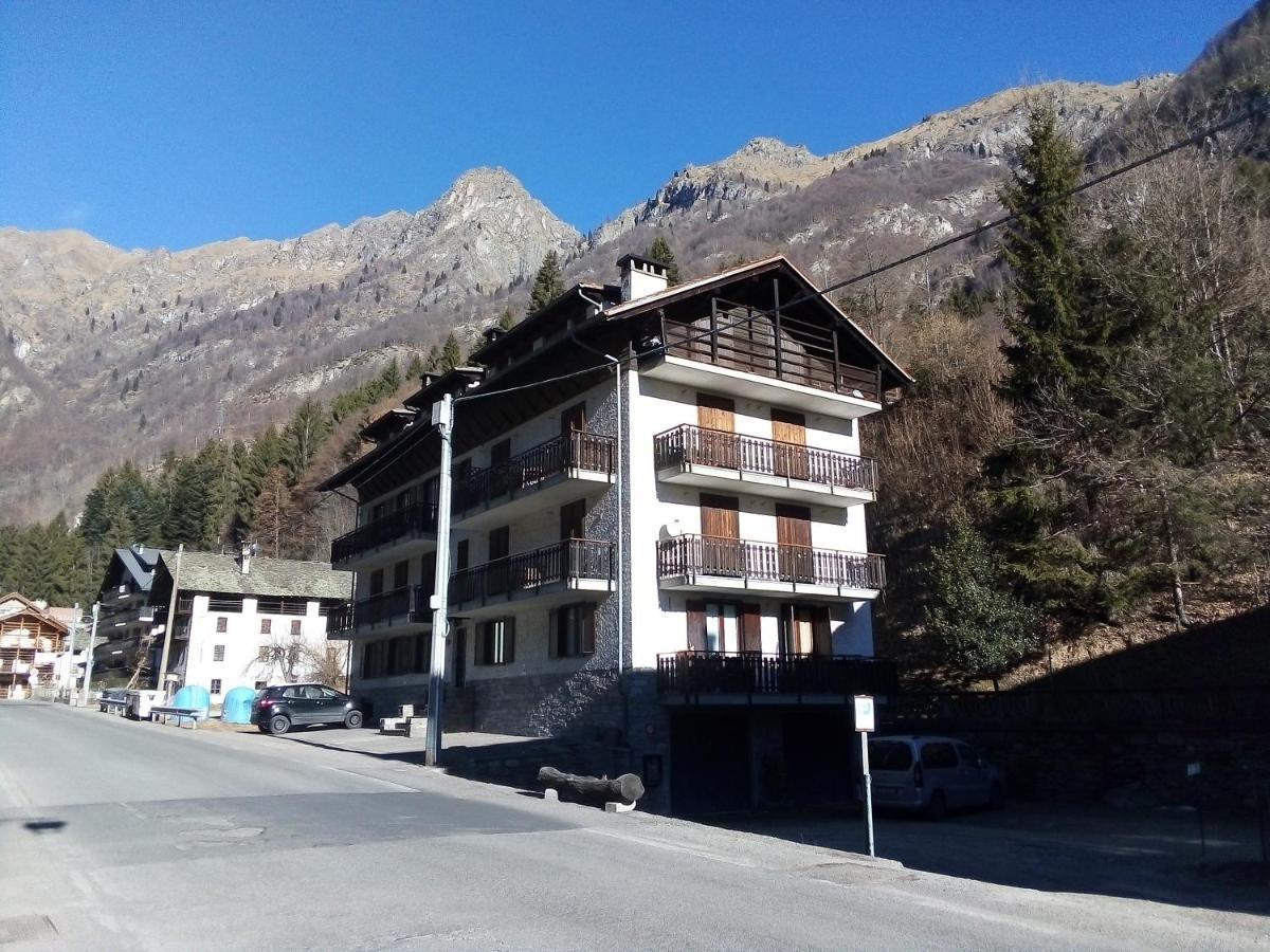 Apartment Graziella